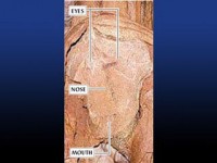 06.06.06 10:01 Во Франции обнаружен самый древний в истории портрет - ему 27 тыс. лет